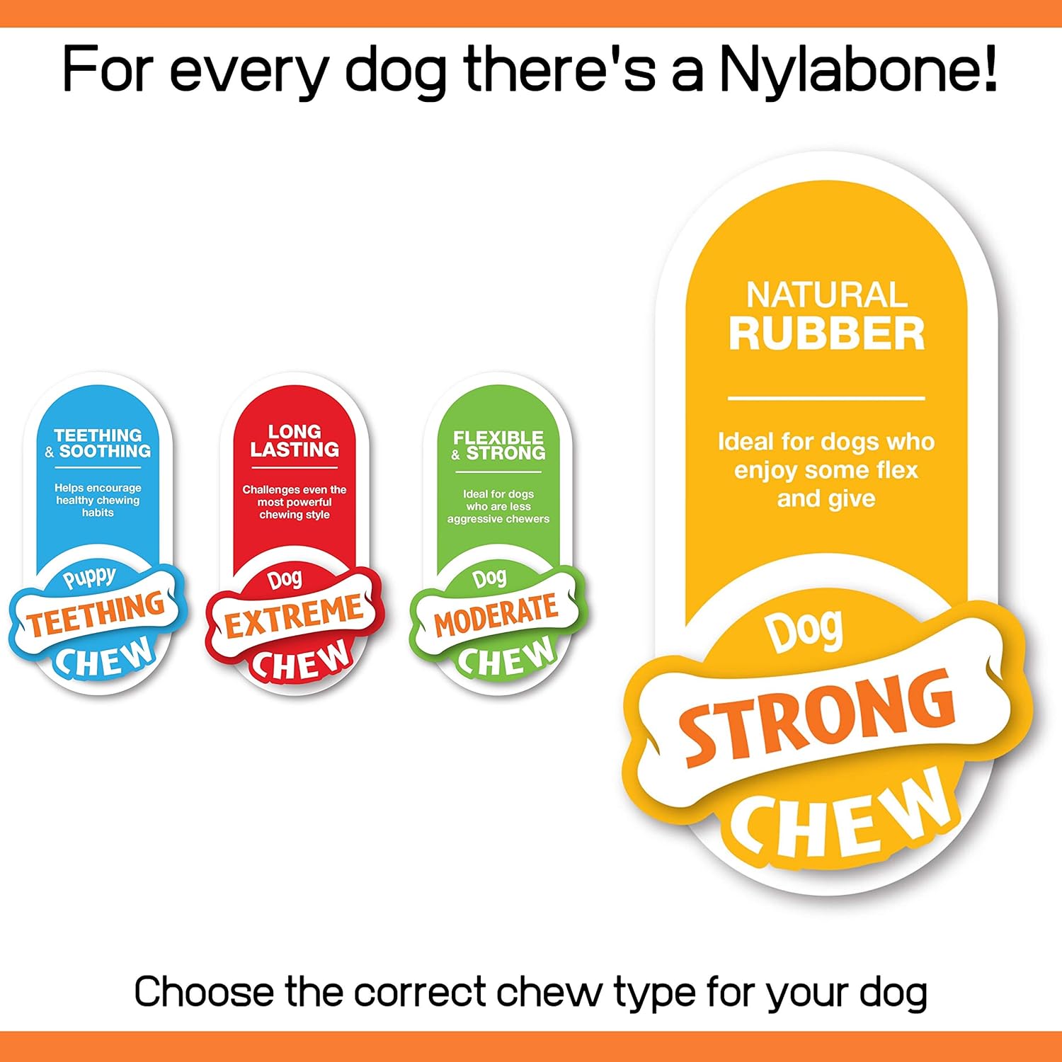 Nylabone Flavor Frenzy Strong Chew Toy Dog Toy