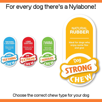 Nylabone Flavor Frenzy Strong Chew Toy Dog Toy