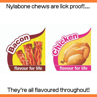 Nylabone Moderate Flexible Dental Dog Chew Toy Bones, 3 pack, Bacon, Chicken Flavoured, X-Small, for Dogs Up to 7 kg