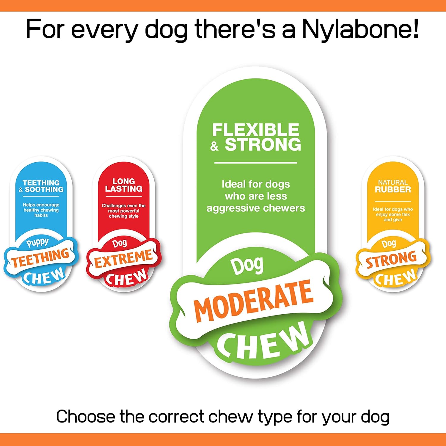 Nylabone Moderate Flexible Dental Dog Chew Toy Bones, 3 pack, Bacon, Chicken Flavoured, X-Small, for Dogs Up to 7 kg