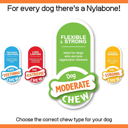 Nylabone Moderate Flexible Dental Dog Chew Toy Bones, 3 pack, Bacon, Chicken Flavoured, X-Small, for Dogs Up to 7 kg