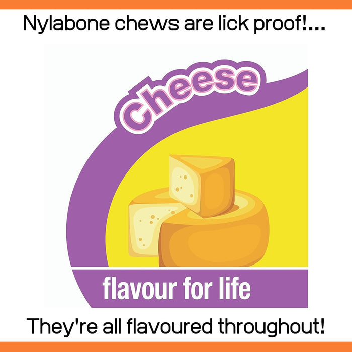 Nylabone Extreme Tough Dog Chew Toy Cheese Bone, Durable, Cleans Teeth, Cheese Flavour, X-Small, for Dogs Up to 7 kg