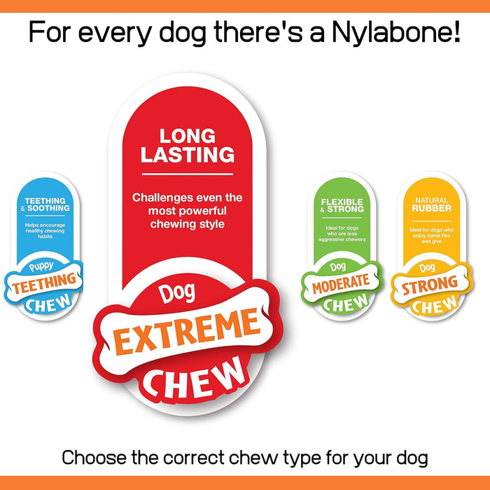 Nylabone Extreme Tough Dog Chew Toy Cheese Bone, Durable, Cleans Teeth, Cheese Flavour, X-Small, for Dogs Up to 7 kg
