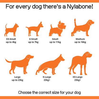 Nylabone Extreme Tough Dog Chew Toy Cheese Bone, Durable, Cleans Teeth, Cheese Flavour, X-Small, for Dogs Up to 7 kg