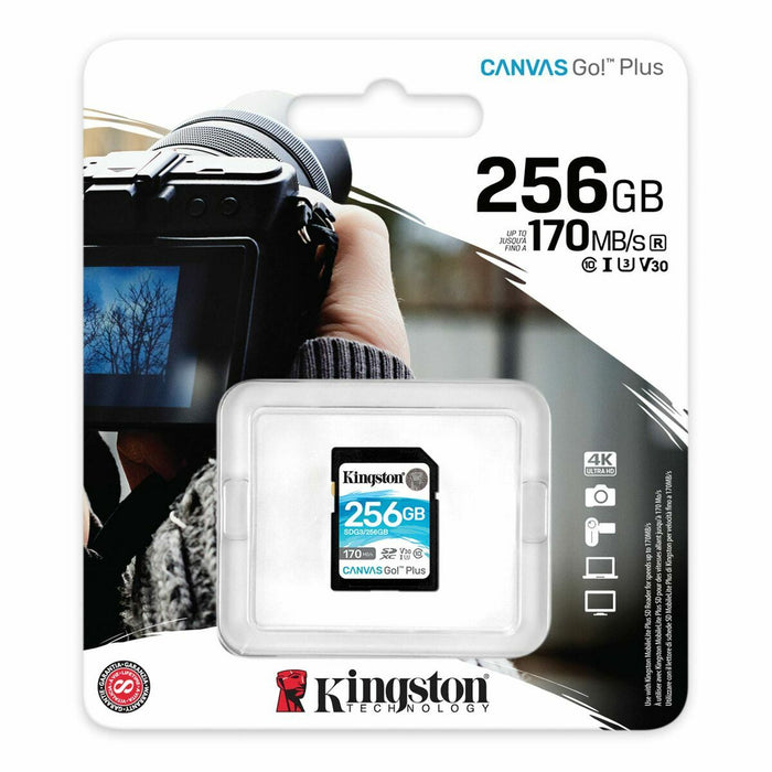 Sd Memory Card Kingston Sdg3/256Gb