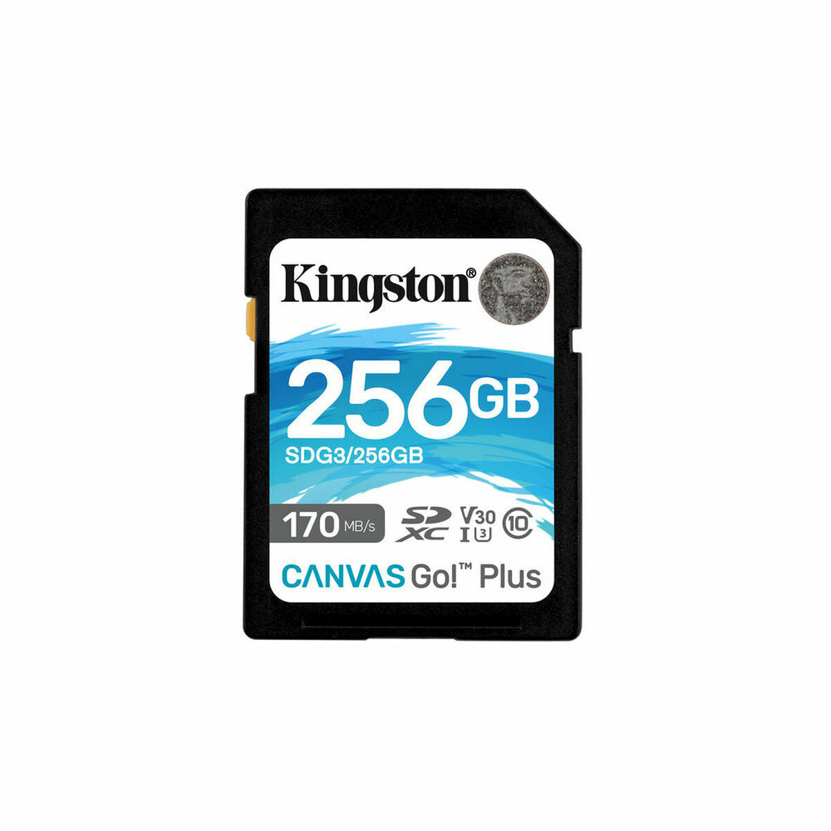 Sd Memory Card Kingston Sdg3/256Gb