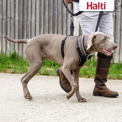 HALTI No Pull Harness Size Large, Professional Dog Harness to Stop Pulling on the Lead, Easy to Use, Anti-Pull Training Aid, Adjustable, Reflective and Breathable, For Large Dogs, Black