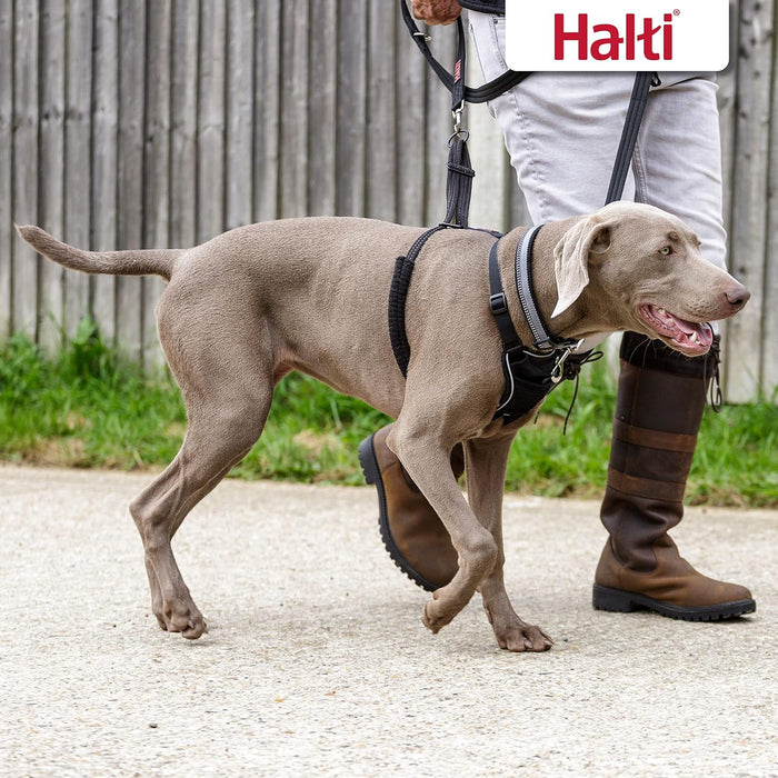HALTI No Pull Harness Size Large, Professional Dog Harness to Stop Pulling on the Lead, Easy to Use, Anti-Pull Training Aid, Adjustable, Reflective and Breathable, For Large Dogs, Black