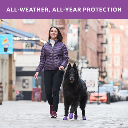Large Pawz Durable All Weather Dog Boots (12 boots