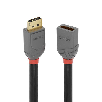 LINDY DisplayPort Anthra Line Extension Cable 1 m