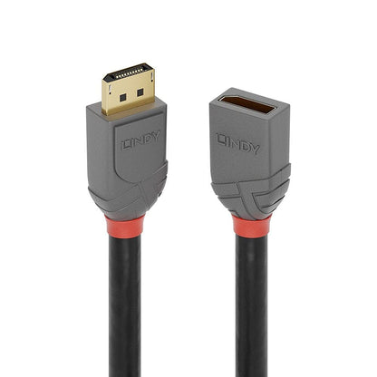 LINDY 3m DisplayPort Anthra Line Extension Cable