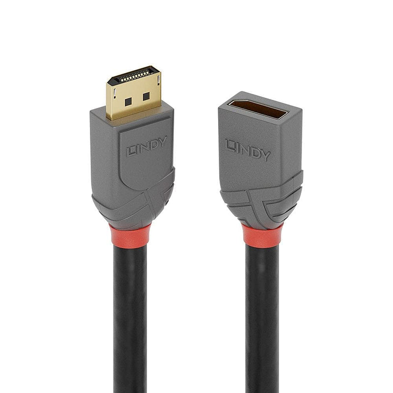 LINDY 3m DisplayPort Anthra Line Extension Cable