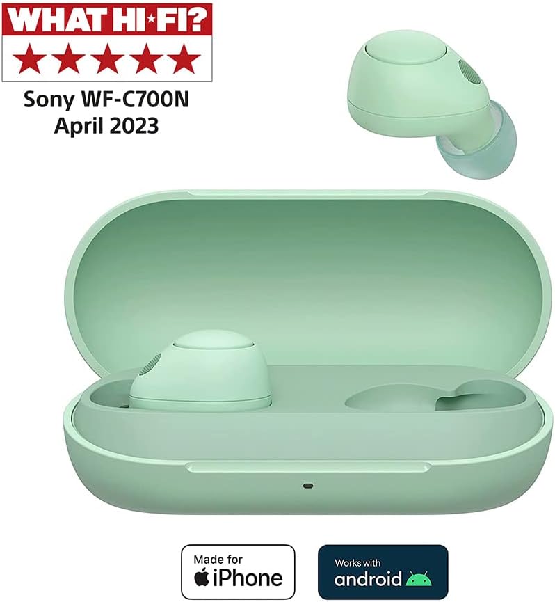 Sony WF-C700N Wireless, Bluetooth, Noise Cancelling Earbuds (Small, Lightweight Earbuds with Multi-Point Connection, IPX4 rating, up to 20 HR battery, Quick Charge, iOS & Android) Sage Green Sage Green Single