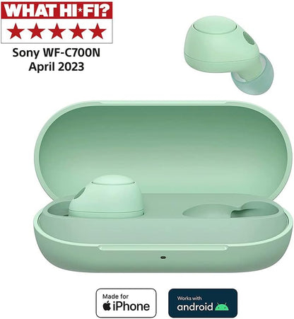 Sony WF-C700N Wireless, Bluetooth, Noise Cancelling Earbuds (Small, Lightweight Earbuds with Multi-Point Connection, IPX4 rating, up to 20 HR battery, Quick Charge, iOS & Android) Sage Green Sage Green Single