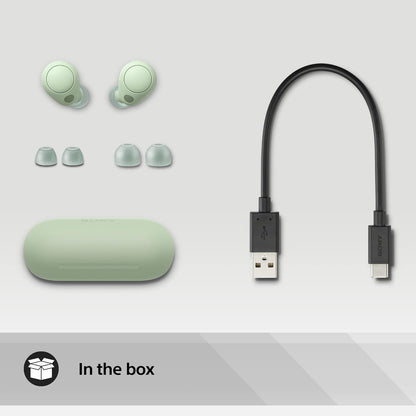 Sony WF-C700N Wireless, Bluetooth, Noise Cancelling Earbuds (Small, Lightweight Earbuds with Multi-Point Connection, IPX4 rating, up to 20 HR battery, Quick Charge, iOS & Android) Sage Green Sage Green Single