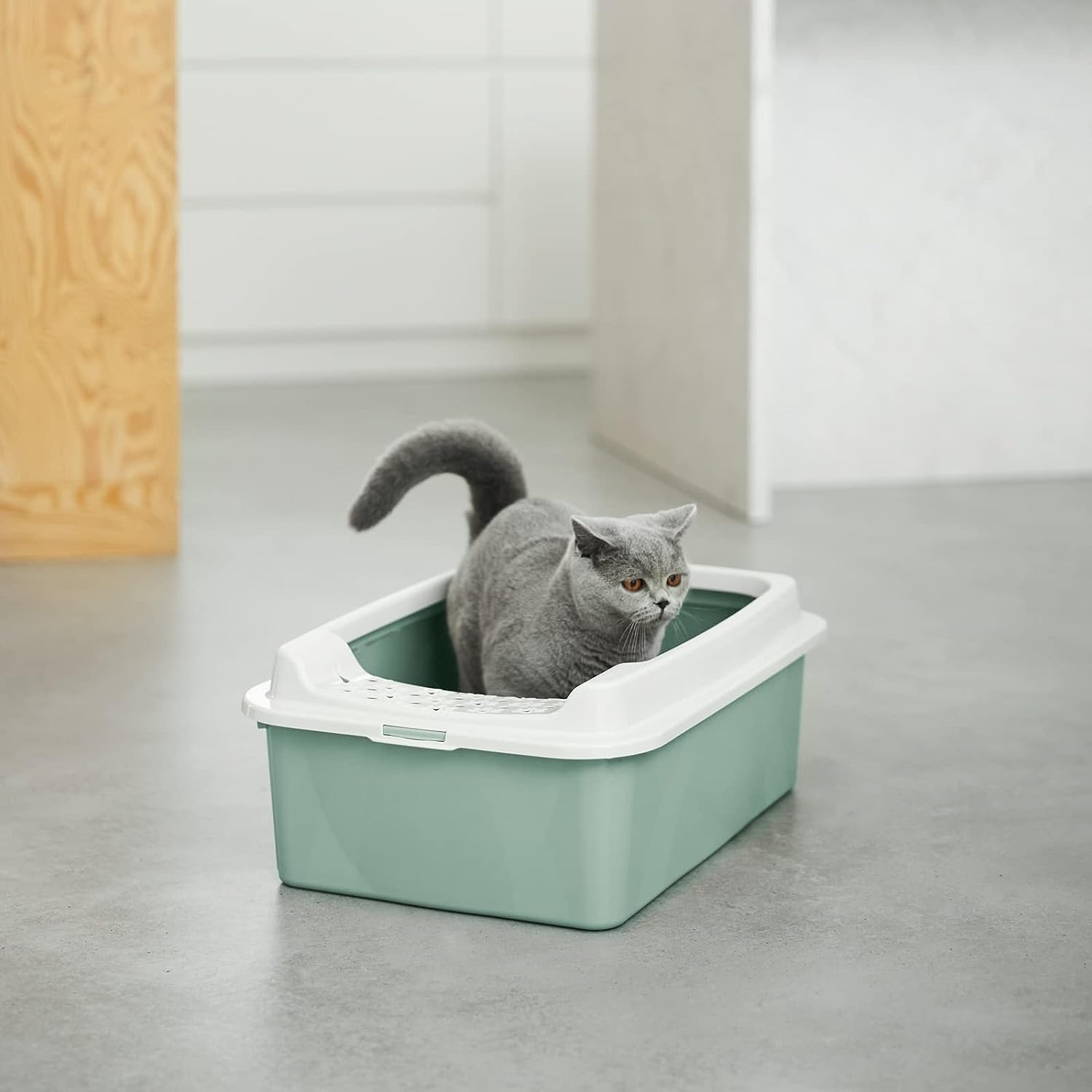 Rotho MyPet Eco Bonnie Cat Litter Tray with Top Entrance, Plastic (PP Recycled), Green/White, M, (57.2 x 39.3 x 20.9 cm)