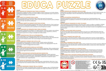 Educa Borras Progressive Puzzle Cars 2