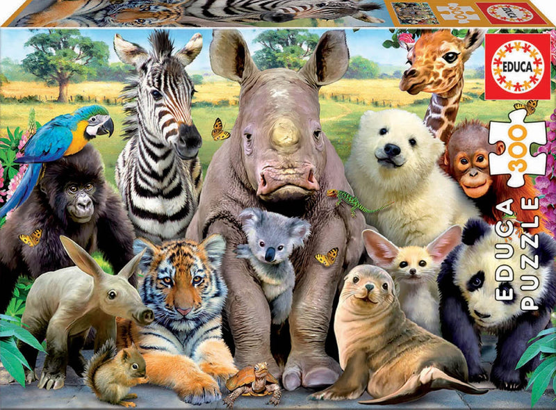 Educa Borras It's A Class Photo Puzzle (300 Pieces)