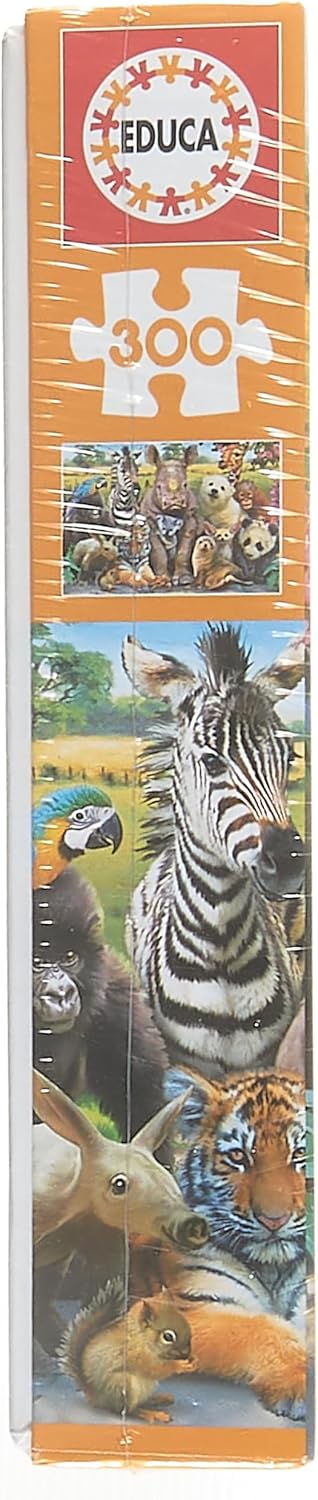 Educa Borras It's A Class Photo Puzzle (300 Pieces