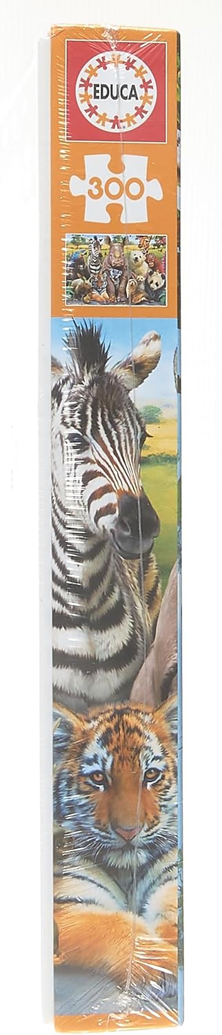 Educa Borras It's A Class Photo Puzzle (300 Pieces