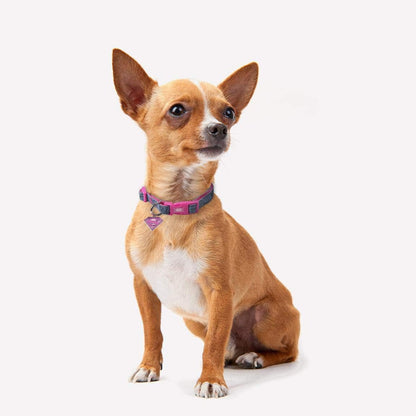 Cerdá Life'S Little Moments Necklace Small Dog Xs from Super Girl - Official Super Girl License 55g