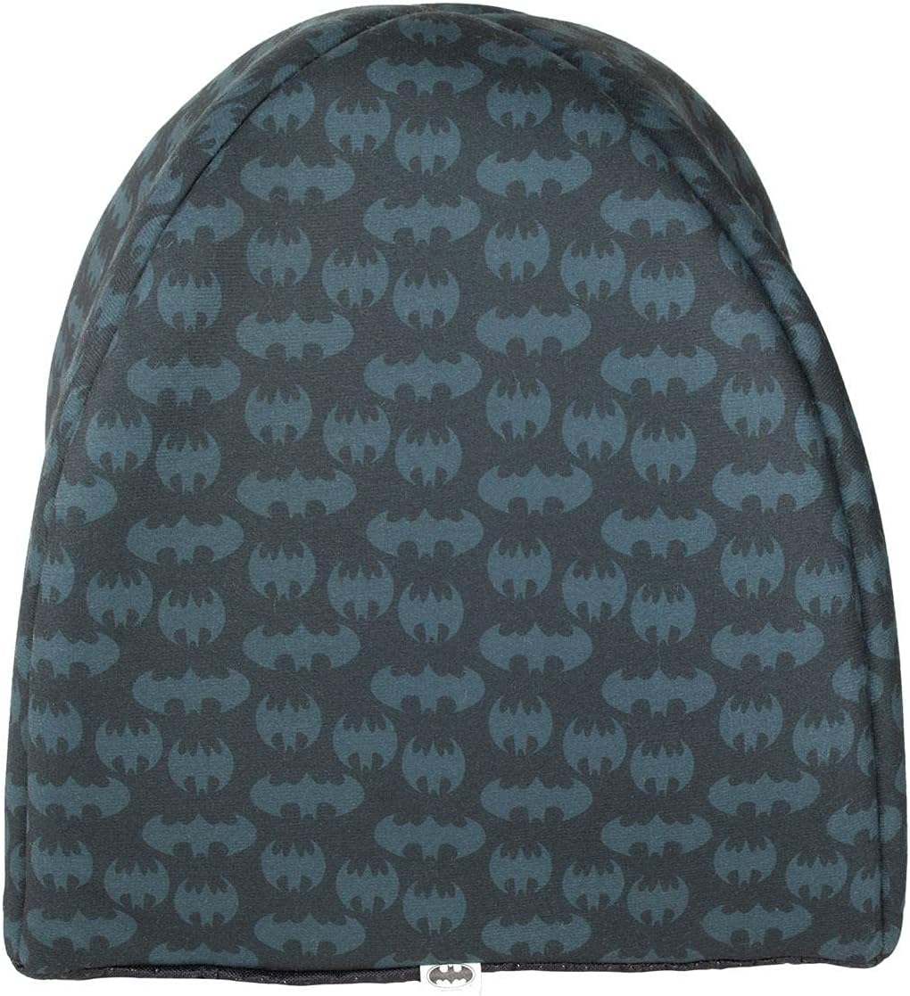 CERDÁ LIFE'S LITTLE MOMENTS - for Fan Pets | Batman Cats and Dog Bed Small Dogs - Official DC Comics Licence, Multicoloured, Single Size Einzelgröße Cave