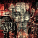 Lamb Of God-As The Palaces Burn