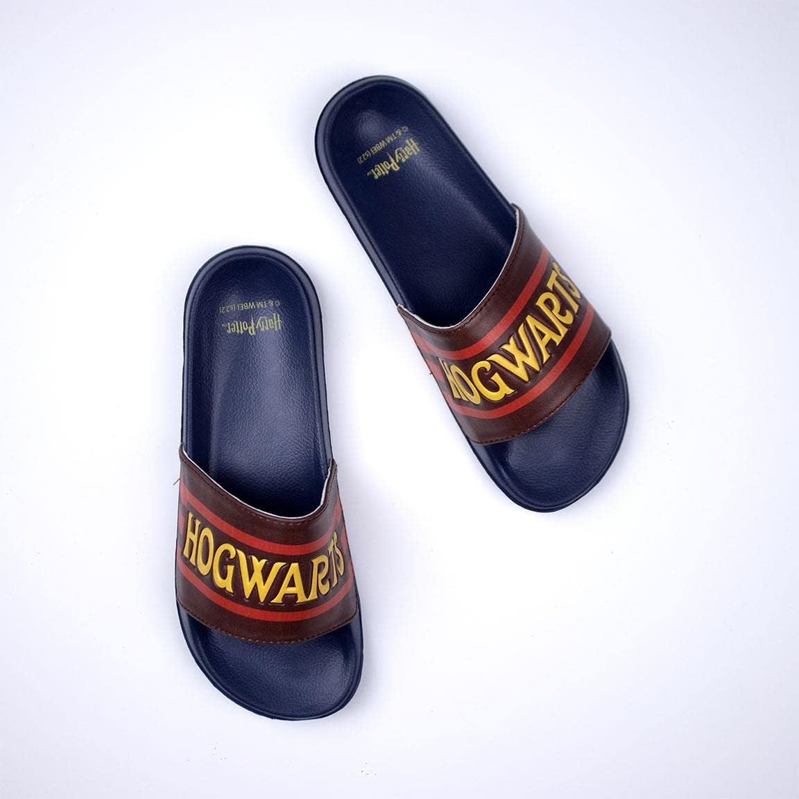 CERDÁ LIFE'S LITTLE MOMENTS, Beach Summer Sandals Printed with Harry Potter and Finger Hold | Flip Flops for the Whole Family-Official Licensed Warner Bros Unisex Adult