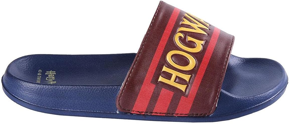 CERDÁ LIFE'S LITTLE MOMENTS, Beach Summer Sandals Printed with Harry Potter and Finger Hold | Flip Flops for the Whole Family-Official Licensed Warner Bros Unisex Adult