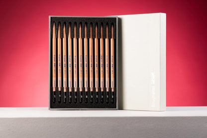 Bruynzeel Graphite Pencils Set, Multicolor, 12 Unidad (Paquete de 1