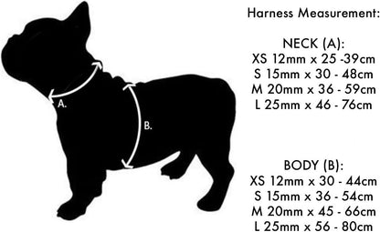 Red Dingo Designer Dog Harness, Small