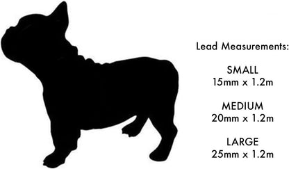 Red Dingo Padded Handle Dog Lead 1.2m Plain,Turquoise, Small 15mm