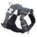 Dog Harness Red Dingo Padded Grey Xs Size