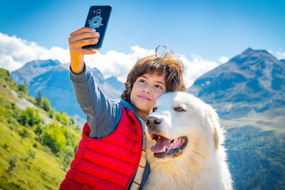 Belle et sébastien : nouvelle génération