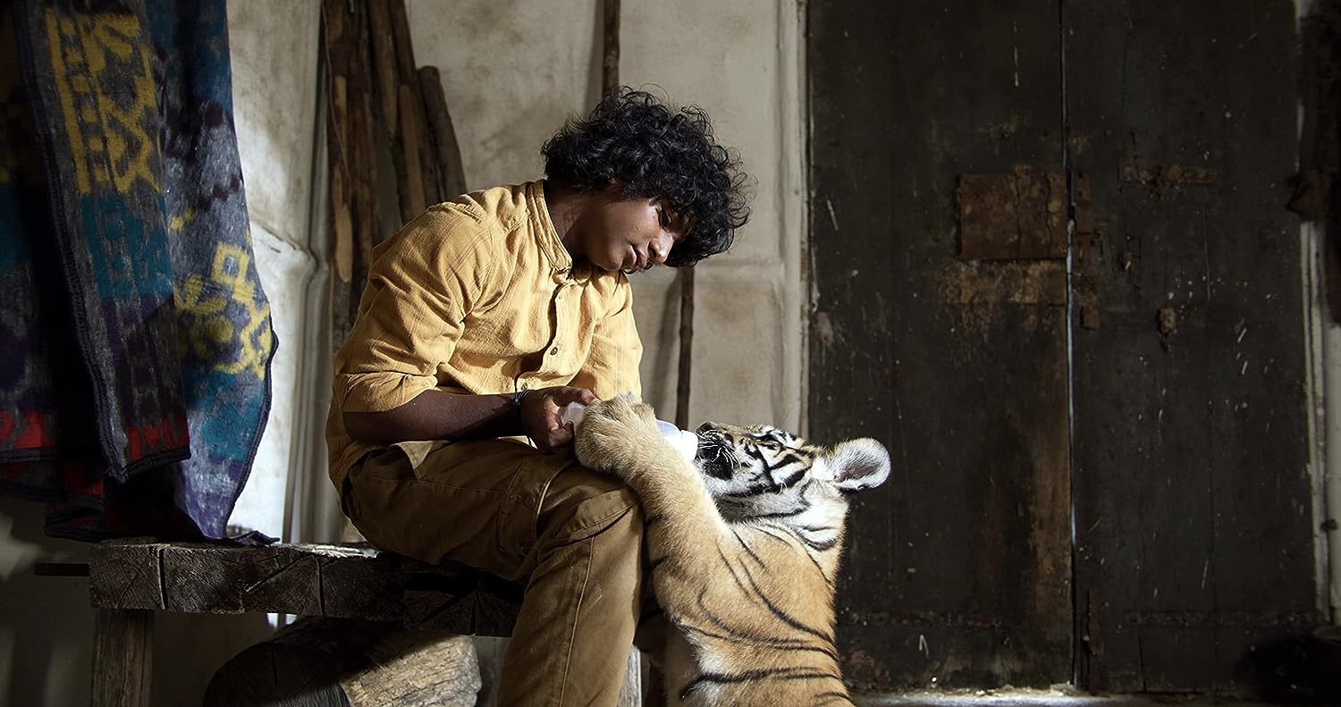 Le nid du tigre