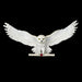 The Noble Collection Harry Potter Hedwig Owl Post Wall Décor - 14in (35cm) Hand-Painted Sculpture - Harry Potter Film Set Movie Props Wand - Gifts for Family, Friends & Harry Potter Fans
