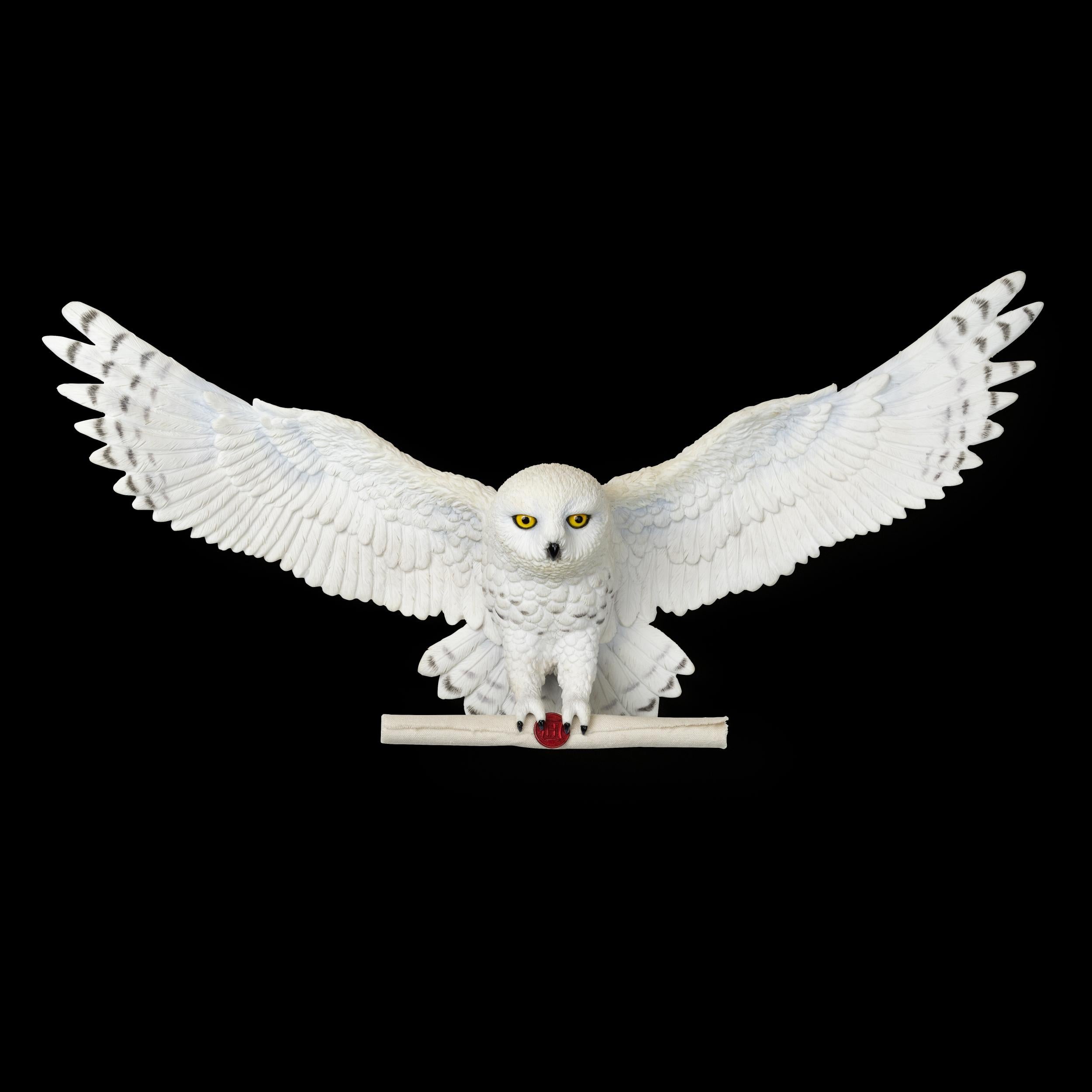 The Noble Collection Harry Potter Hedwig Owl Post Wall Décor - 14in (35cm) Hand-Painted Sculpture - Harry Potter Film Set Movie Props Wand - Gifts for Family, Friends & Harry Potter Fans