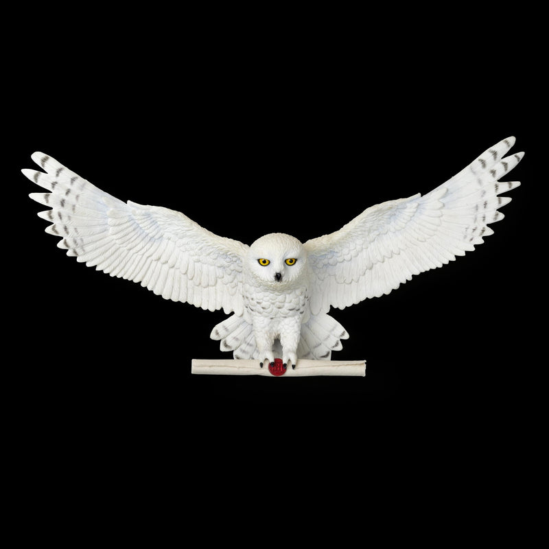 The Noble Collection Harry Potter Hedwig Owl Post Wall Décor - 14in (35cm) Hand-Painted Sculpture - Harry Potter Film Set Movie Props Wand - Gifts for Family, Friends & Harry Potter Fans