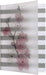 RNK 46763 Notebook "Cherry Blossom", Squared, DIN A5, with PP Plastic Cover, 100 Sheets, 60 g/m², Pack of 1 Modern