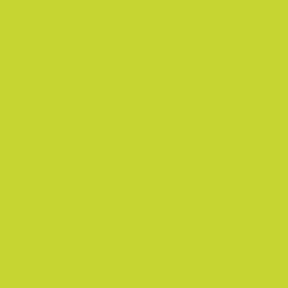 inapa Coloured Printer Paper Tecno Colours 80 g/m² A3 500 Sheets Bright Green A3 - 500 sheets 80g / m² Bright green