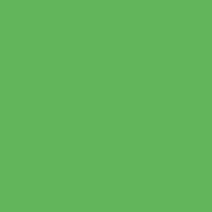 inapa Coloured Printer Paper Tecno Colours 80 g/m² A3 500 Sheets Intense Green A3 - 500 sheets 80g / m² Intense green