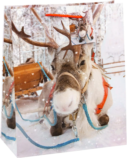 TSI Gift Bags Christmas Series 11 Pack of 12 Large (H x W x D) 32 x 26 x 13.5 cm Item No. 87311