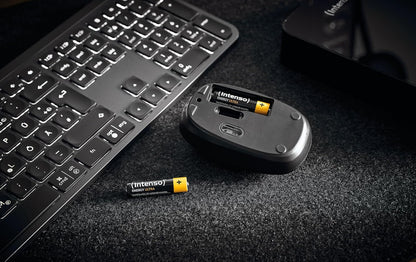 `Intenso Batterien Energy Ultra Micro AAA 1,5 V`