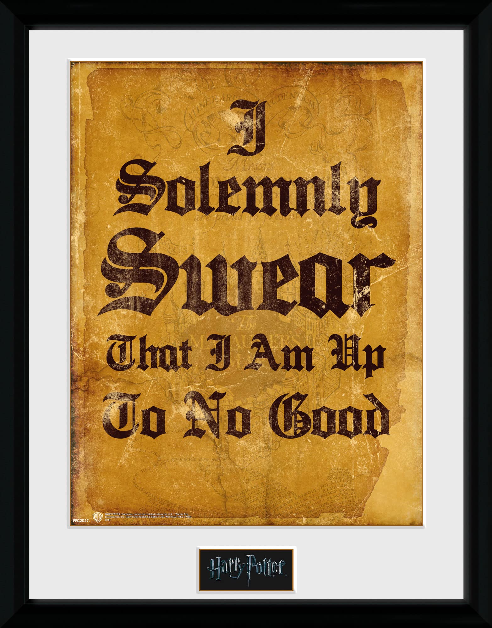 Harry Potter - Framed Print I Solemnly Swear x2