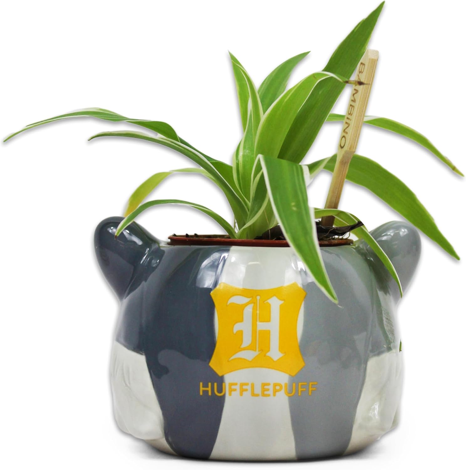 Half Moon Bay | Harry Potter Hufflepuff Indoor Plant Pot | Ceramic Plant Pot & Indoor Plant Pots | Harry Potter Gifts For Girls | Harry Potter Gifts For Women | Harry Potter Hufflepuff Gifts | Badger Harry Potter (Hufflepuff