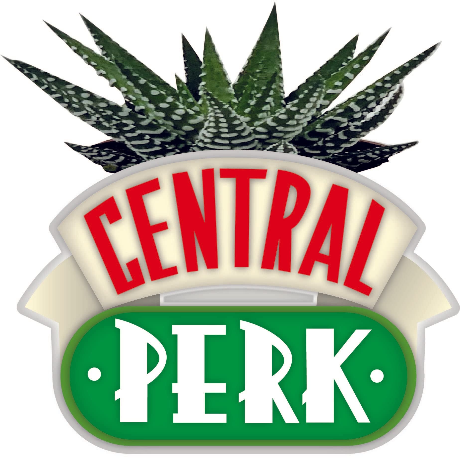 FRIENDS - Central Perk - Plant Pot