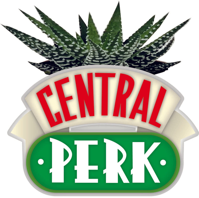 FRIENDS - Central Perk - Plant Pot