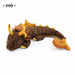 Official Genshin Impact Mihoyo Large Zhongli Rex Lapis Dragon Adeptus Form Plush