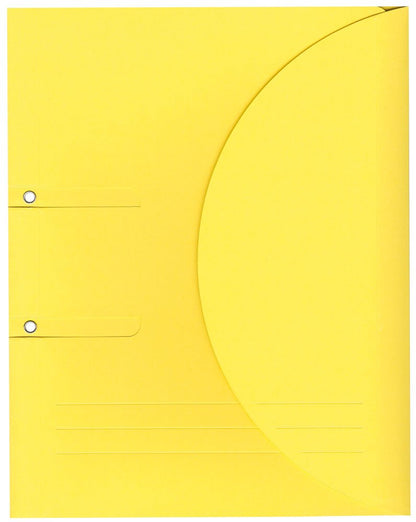 ELCO 2949572 Organizers Ordo Collecto, 320 G, 10 pcs, Yellow