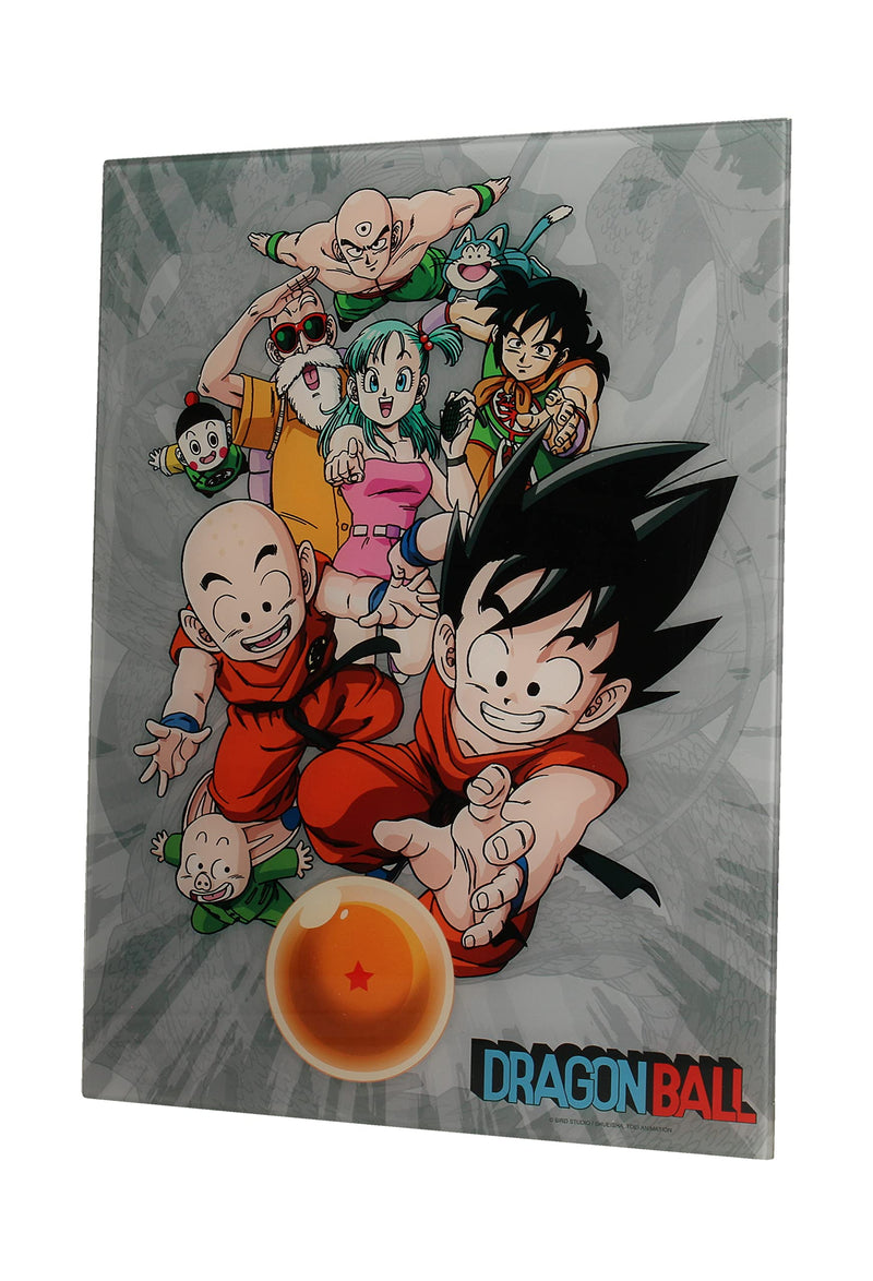 DRAGON BALL - GLASS PRINT - Characters - 30X40 Cm